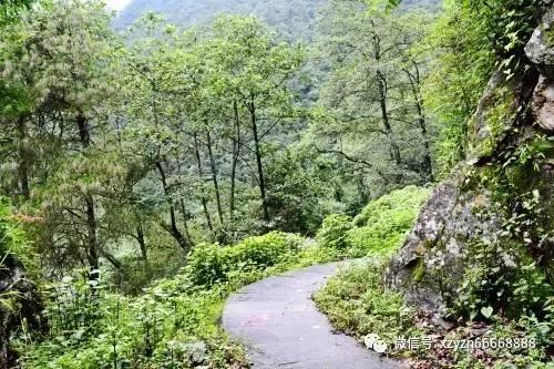 手机厂商狂卷2024：即时零售是“新大陆”？